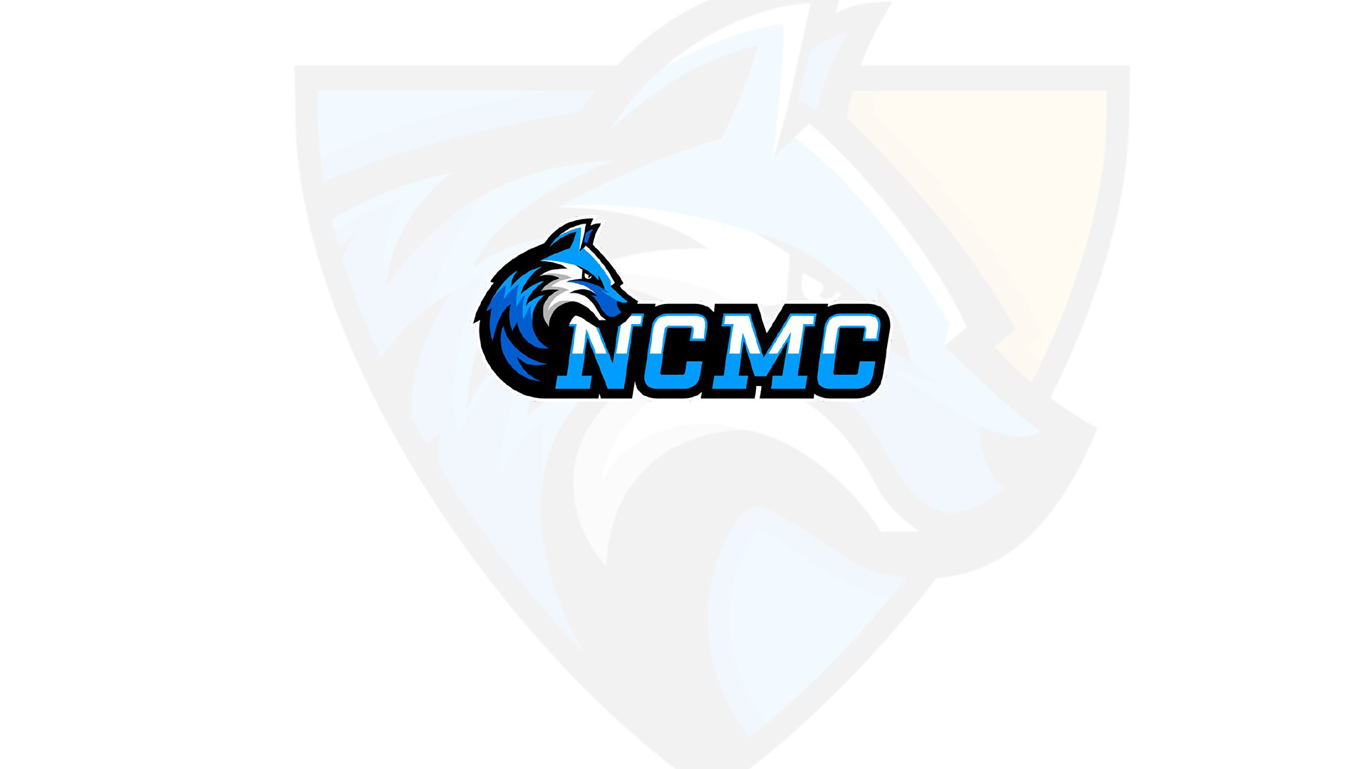 21 Student-Athletes &amp; 3 Timberwolves Team Earn MCCAA Academic Honors