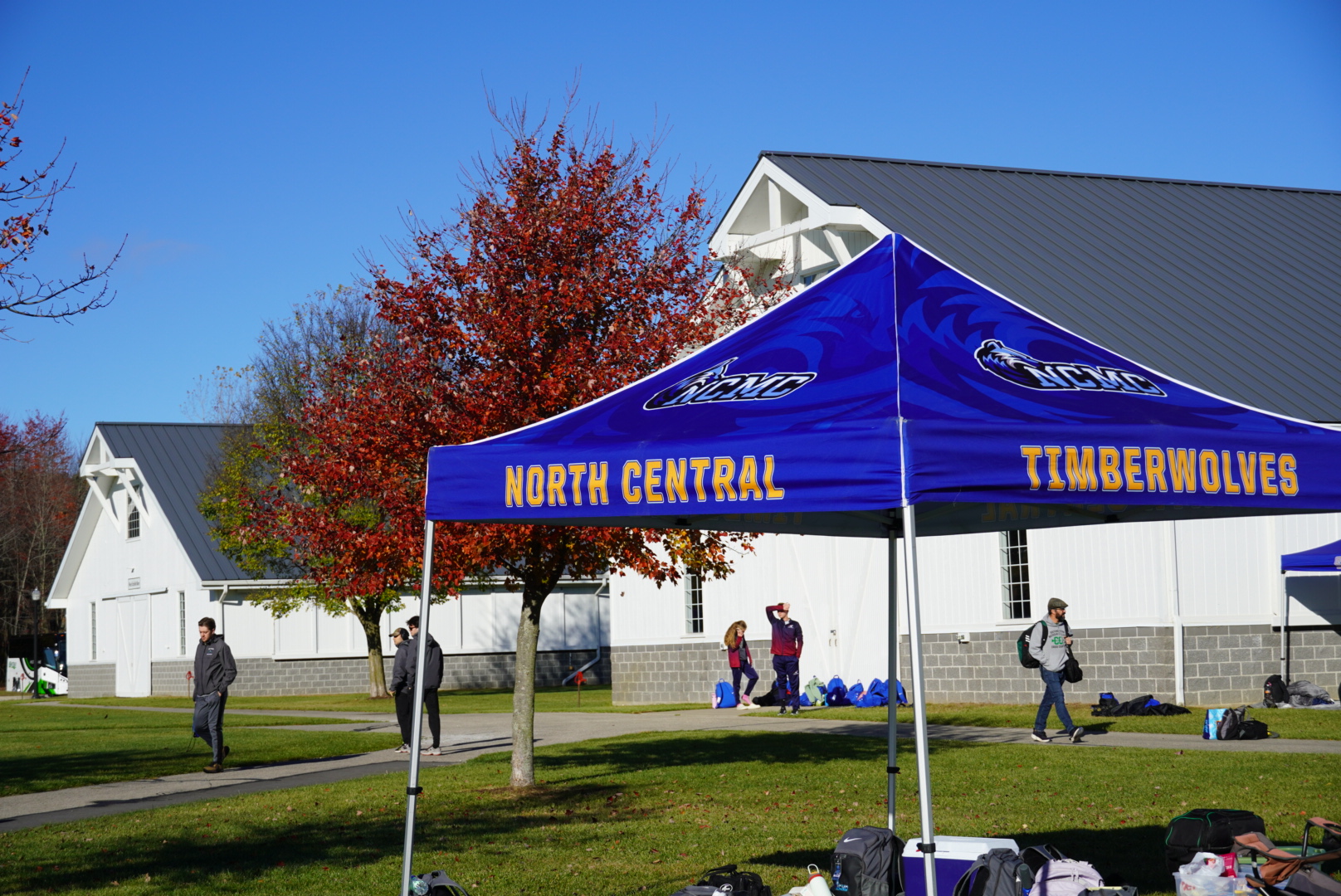 Women's Cross Country has Strong Showing at Championship